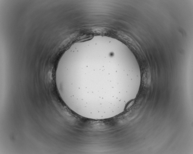 X0000111430424200908031335