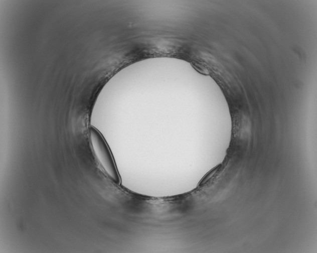 X0000111430425200908031335