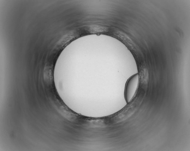 X0000111430426200908031335