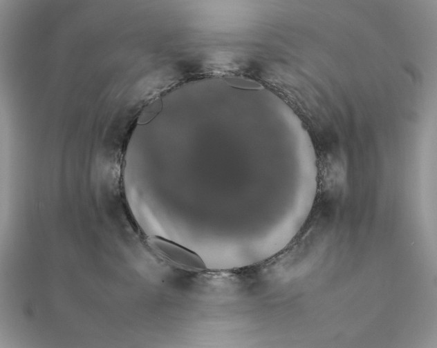 X0000111430427200908031335