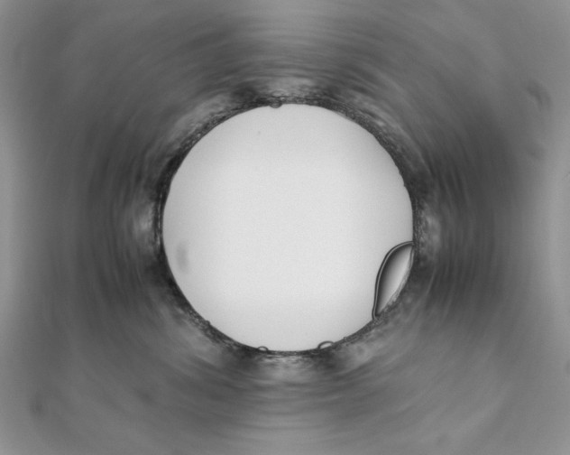 X0000111430428200908031335