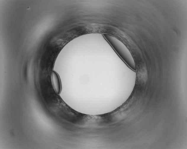 X0000111430429200908031335