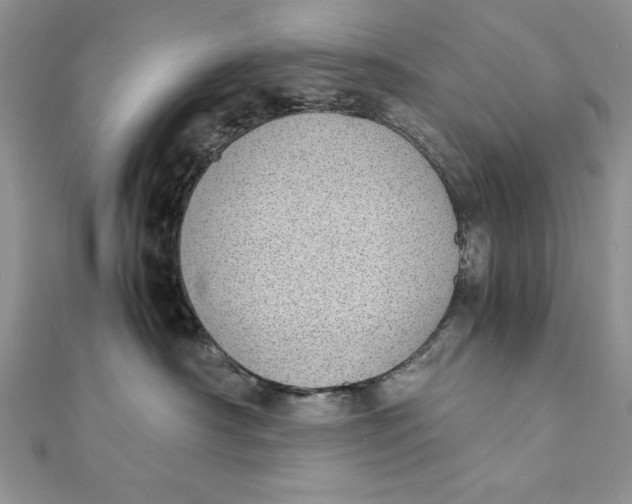 X0000111430430200908031335