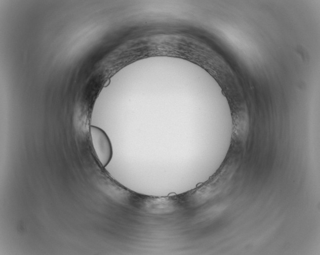 X0000111430431200908031335