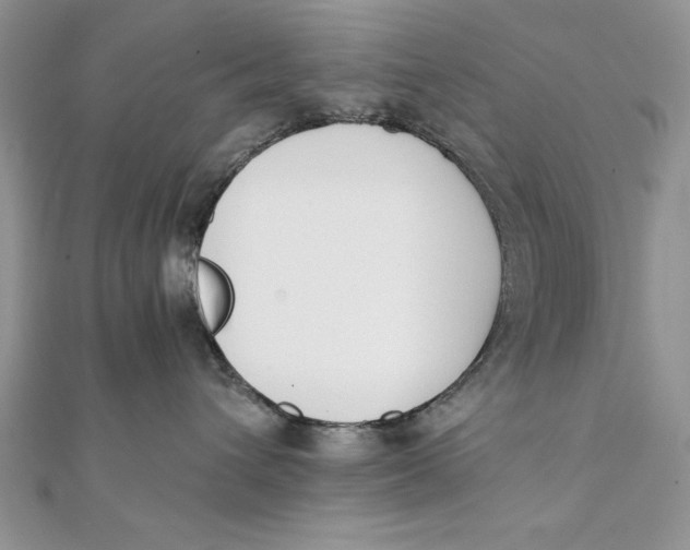 X0000111430432200908031335