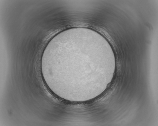 X0000111430433200908031335