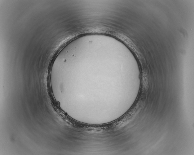 X0000111430434200908031335