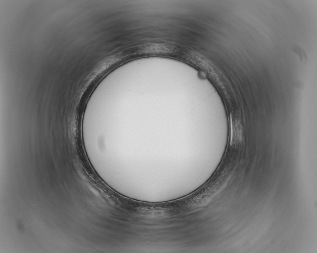 X0000111430435200908031335