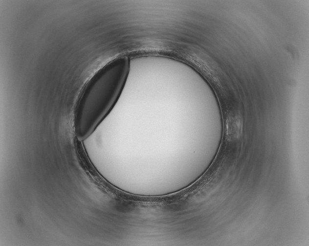 X0000111430436200908031335