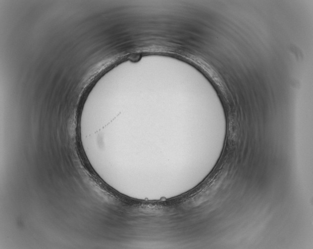 X0000111430437200908031335