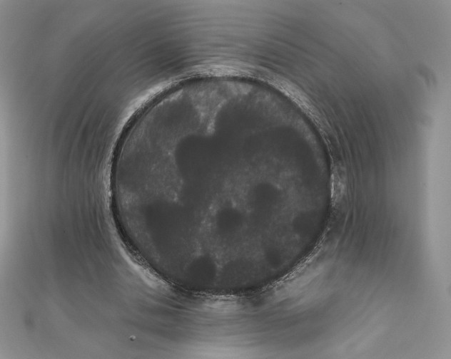 X0000111430438200908031335