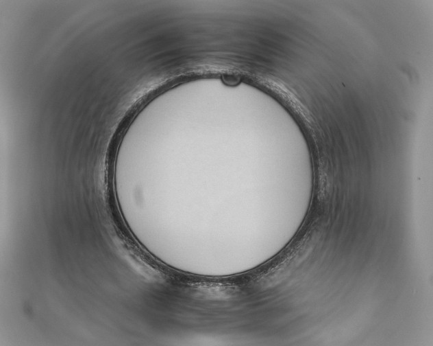 X0000111430439200908031335