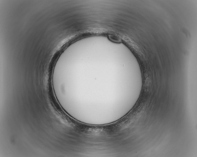 X0000111430440200908031335