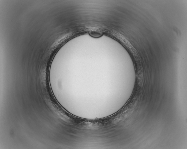 X0000111430442200908031335