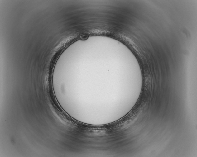 X0000111430443200908031335