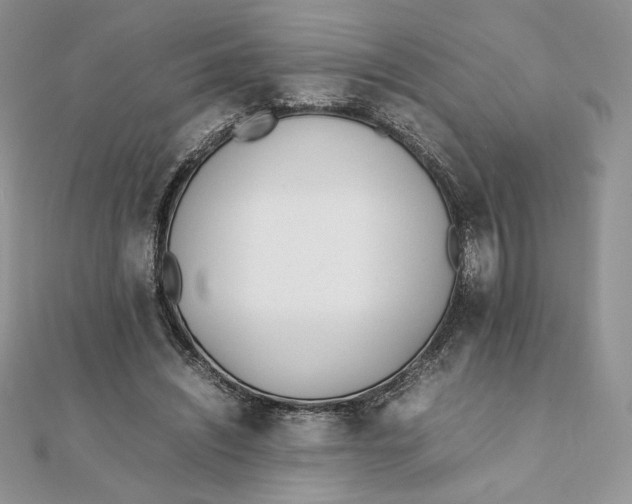 X0000111430444200908031335