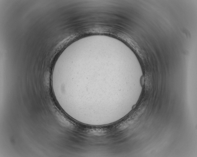 X0000111430445200908031335