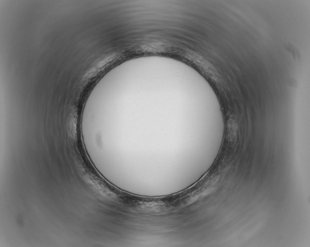 X0000111430446200908031335