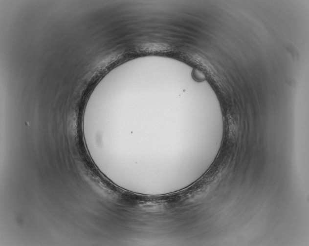 X0000111430447200908031335