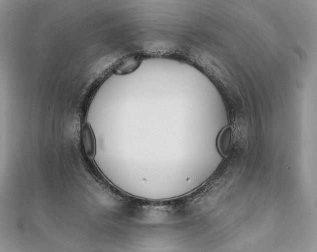 X0000111430448200908031335