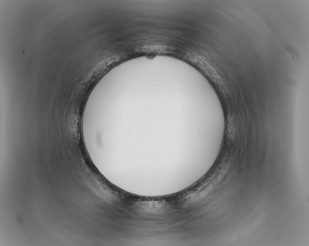 X0000111430449200908031335