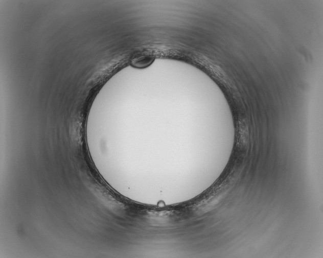 X0000111430450200908031335