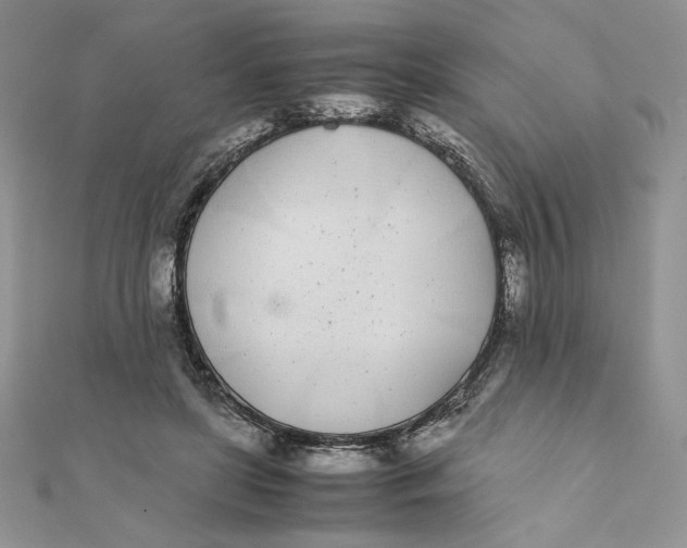 X0000111430451200908031335