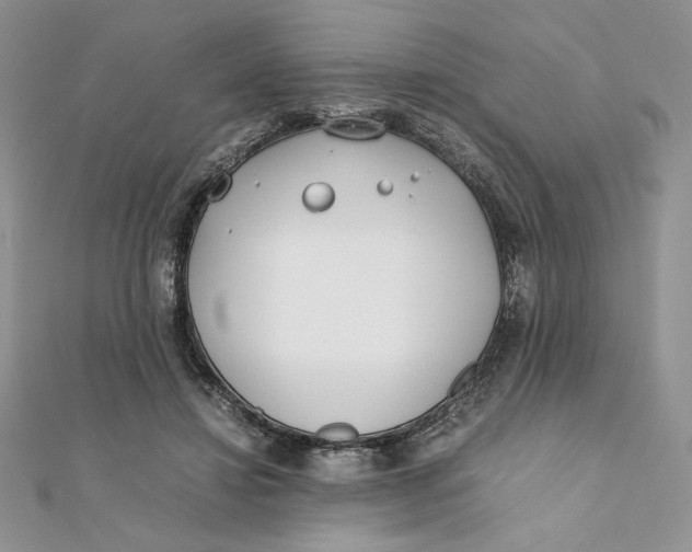 X0000111430452200908031335