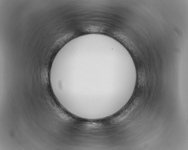 X0000111430453200908031335