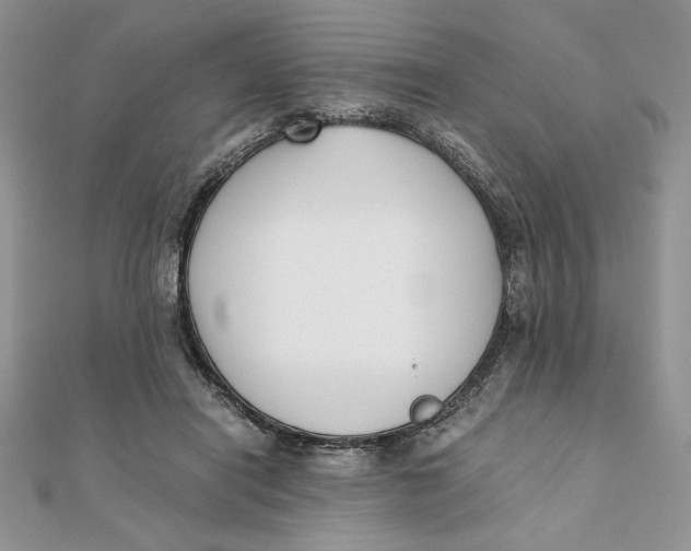 X0000111430454200908031335