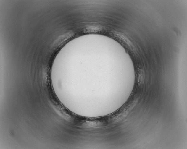 X0000111430455200908031335