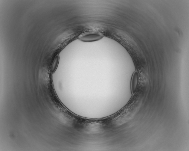 X0000111430456200908031335