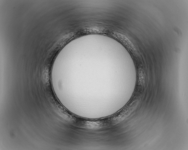 X0000111430457200908031335