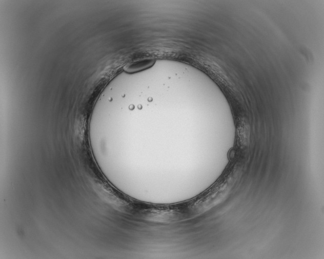 X0000111430458200908031335