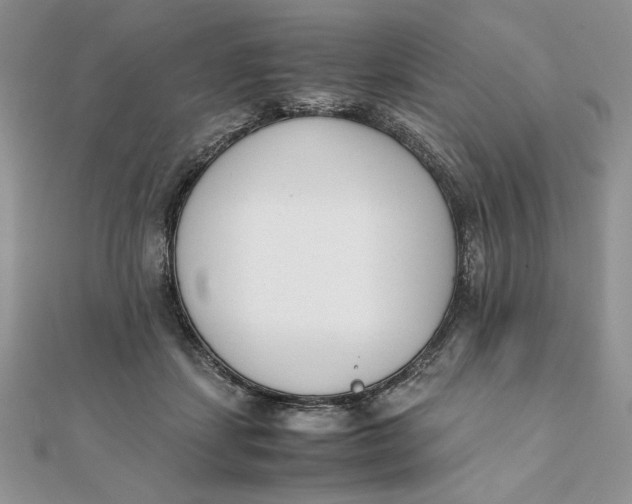 X0000111430459200908031335