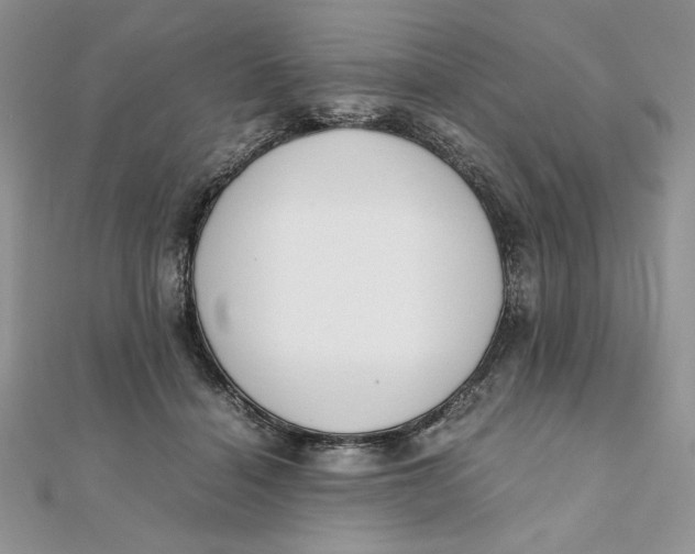 X0000111430460200908031335