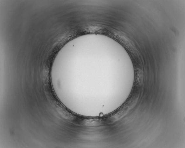 X0000111430461200908031335