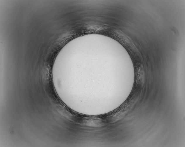 X0000111430463200908031335