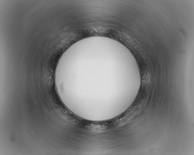 X0000111430464200908031335