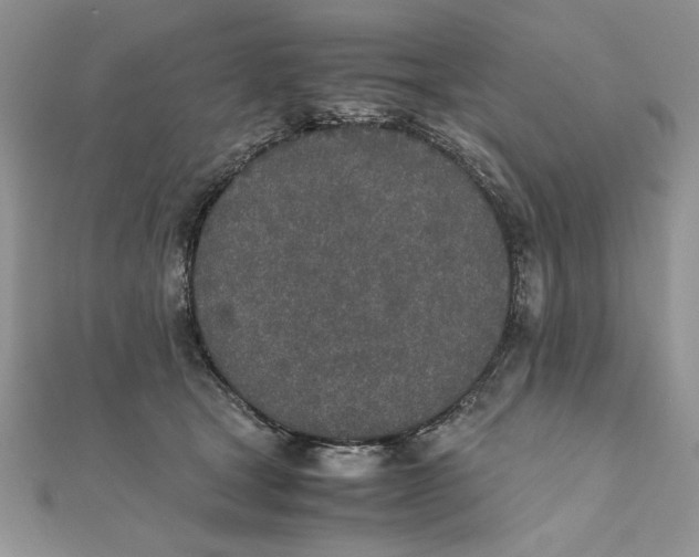 X0000111430465200908031335