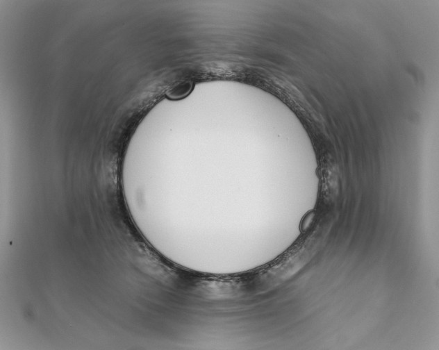 X0000111430466200908031335