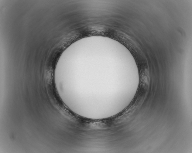 X0000111430468200908031335