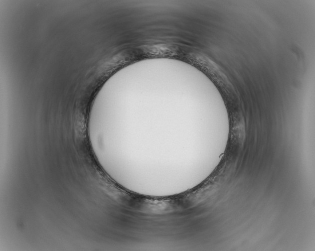 X0000111430469200908031335