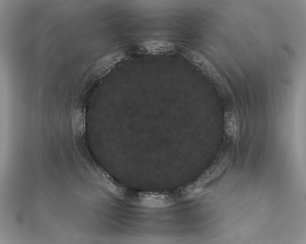 X0000111430471200908031335