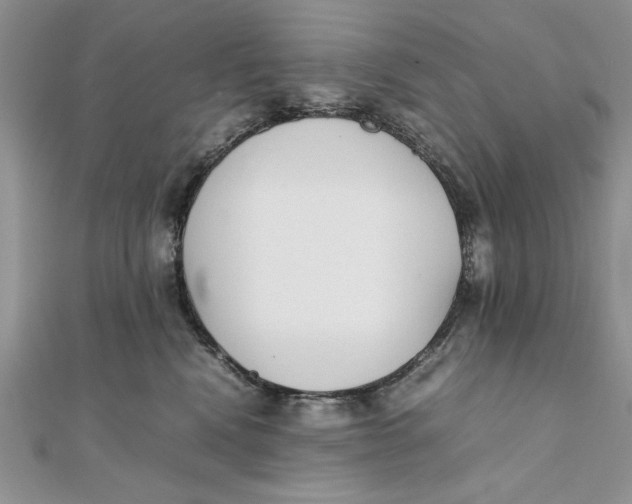 X0000111430472200908031335