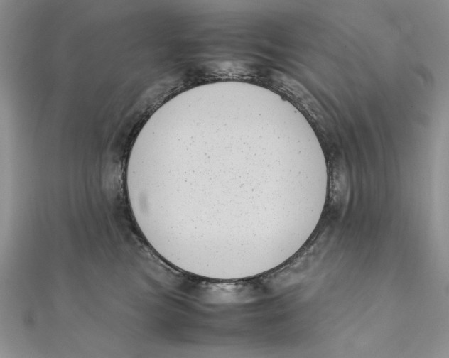 X0000111430473200908031335