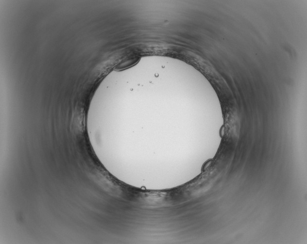 X0000111430474200908031335