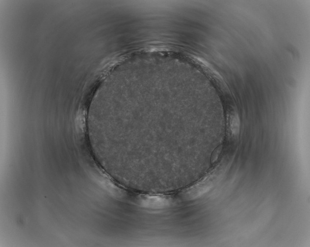 X0000111430475200908031335