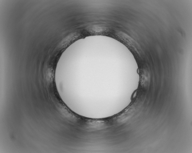 X0000111430476200908031335