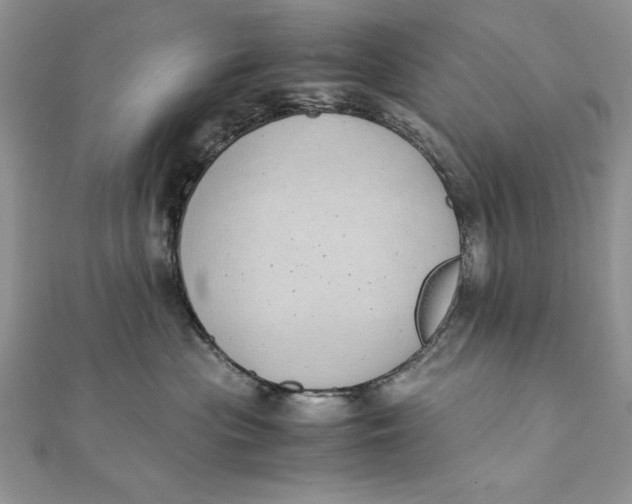 X0000111430477200908031335